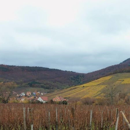 Apartment Route Du Vin Centre Alsace Оршвиллер Номер фото