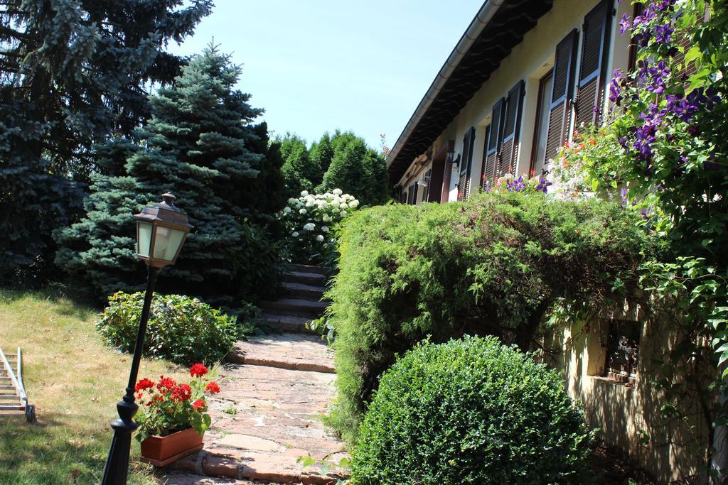 Apartment Route Du Vin Centre Alsace Оршвиллер Номер фото